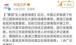 曹园最新爆料,揭秘娱乐圈惊人内幕！