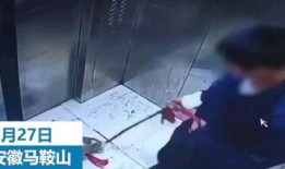 辽宁男孩爆料视频最新版,揭秘惊人内幕